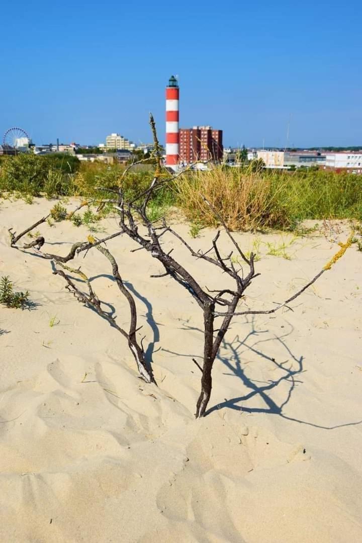 L'Alteia - L'Appartement Les Pieds Dans L'Eau Avec Place De Parking Prive Et Acces Direct A La Plage Berck Bagian luar foto